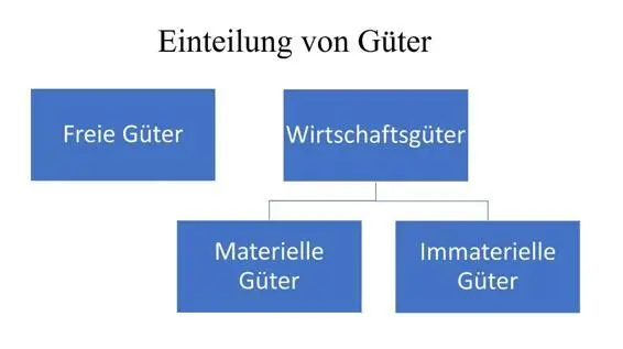 Abbildung 8 Die Einteilung von Gütern nach ihrem Verwendungszweck eigene - фото 11