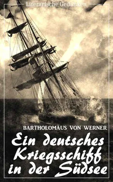 Bartholomäus von Werner Ein deutsches Kriegsschiff in der Südsee: Die Reise der Kreuzerkorvette Ariadne in den Jahren 1877-1881 (Bartholomäus von Werner) (Literarische Gedanken Edition) обложка книги