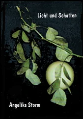 Angelika Storm - Licht und Schatten