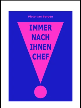 Picco van Bergen Bitte nach Ihnen, Chef! обложка книги