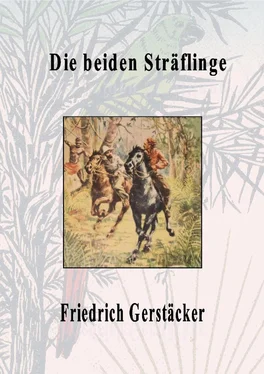 Friedrich Gerstäcker Die beiden Sträflinge обложка книги