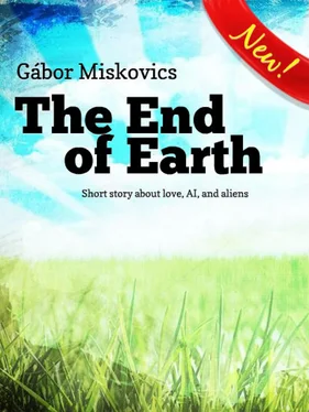 Gábor Miskovics The End of Earth обложка книги