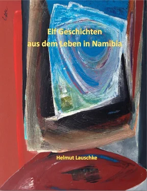 Helmut Lauschke Elf Geschichten aus dem Leben in Namibia обложка книги