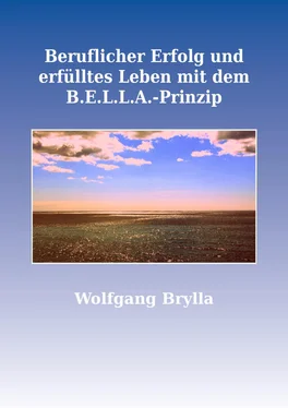 Wolfgang Brylla Beruflicher Erfolg und erfülltes Leben mit dem B.E.L.L.A.-Prinzip обложка книги