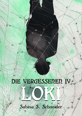 Sabina S. Schneider Die Vergessenen: Loki - Buch 4 обложка книги