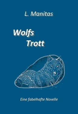 L. Manitas Wolfs Trott обложка книги
