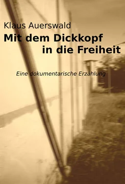 Klaus Auerswald Mit dem Dickkopf in die Freiheit обложка книги
