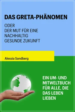 Alessia Sandberg Das Greta-Phänomen обложка книги