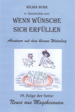 Wilma Burk Wenn Wünsche sich erfüllen 4. Geschichte обложка книги