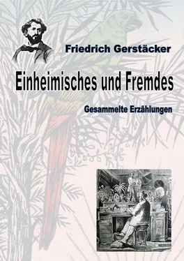 Friedrich Gerstäcker Einheimisches und Fremdes обложка книги