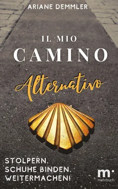 Ariane Demmler Il mio Camino Alternativo обложка книги