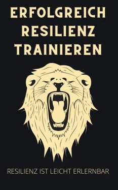 Thorsten Hawk Erfolgreich Resilienz trainieren обложка книги