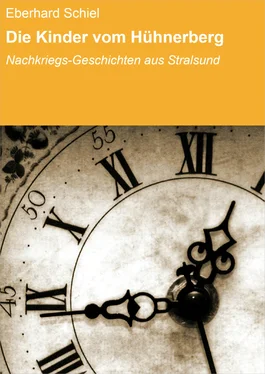 Eberhard Schiel Die Kinder vom Hühnerberg обложка книги