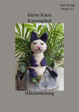 berli design kleine Katze Katzenglück Häkelanleitung обложка книги