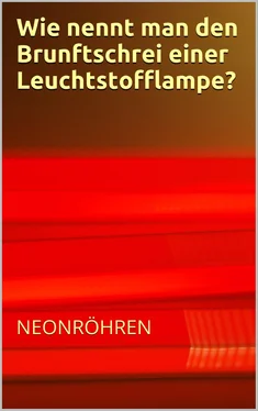 Markus Seiler Wie nennt man den Brunftschrei einer Neonröhre? - Flachwitze Teil 1 обложка книги