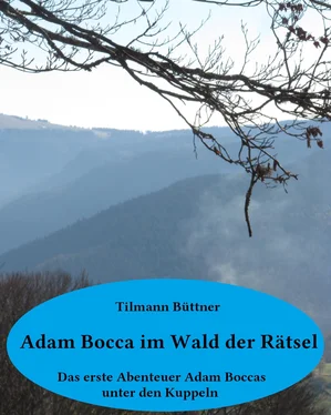 Tilmann A. Büttner Adam Bocca im Wald der Rätsel обложка книги