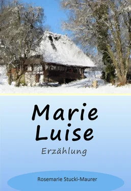 Rosemarie Stucki-Maurer Marie Luise обложка книги