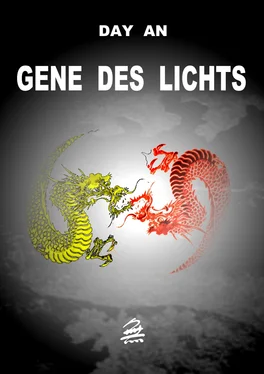 Day An Gene des Lichts обложка книги