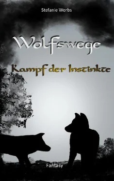 Stefanie Worbs Wolfswege 3 обложка книги