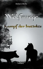 Stefanie Worbs - Wolfswege 3