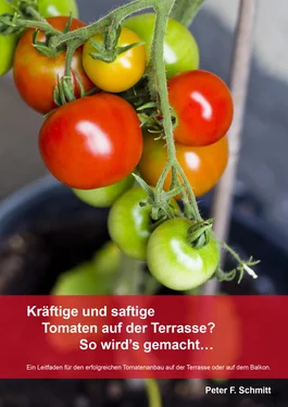 Peter F. Schmitt Kräftige und saftige Tomaten auf der Terrasse? So wird's gemacht… обложка книги