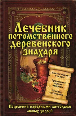 Сергей Реутов Лечебник потомственного деревенского знахаря. Исцеление народными методами любых хворей обложка книги