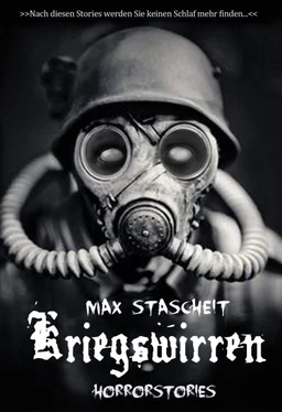 Max Stascheit Kriegswirren обложка книги