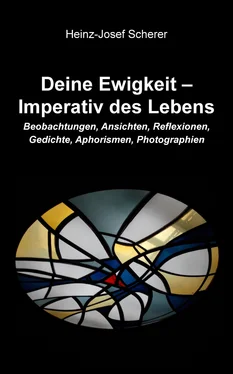 Heinz-Josef Scherer Deine Ewigkeit – Imperativ des Lebens обложка книги