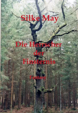 Silke May Die Herrscher der Finsternis обложка книги