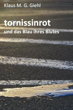 Klaus M. G. Giehl tornissinrot обложка книги