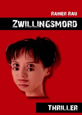 Rainer Rau Zwillingsmord обложка книги
