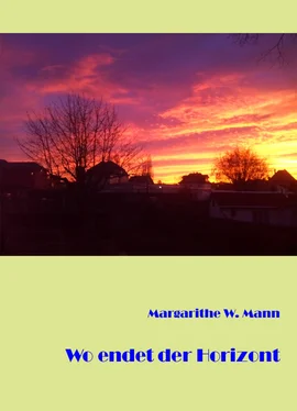 Margarithe W. Mann Wo endet der Horizont обложка книги