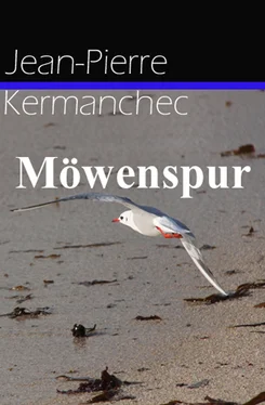 Jean-Pierre Kermanchec Möwenspur обложка книги