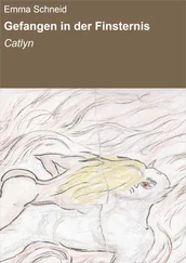 Emma Schneid - Gefangen in der Finsternis