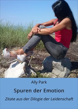 Ally Park Spuren der Emotion обложка книги