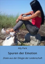 Ally Park - Spuren der Emotion