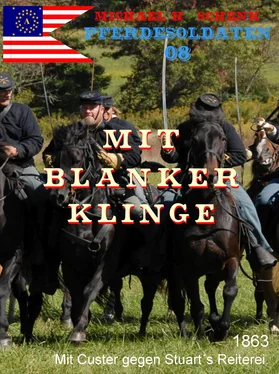 Michael Schenk Pferdesoldaten 08 - Mit blanker Klinge обложка книги