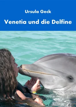 Ursula Geck Venetia und die Delfine обложка книги