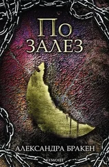 Александра Бракен - По залез