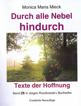 Monica Maria Mieck Durch alle Nebel hindurch – Texte der Hoffnung обложка книги