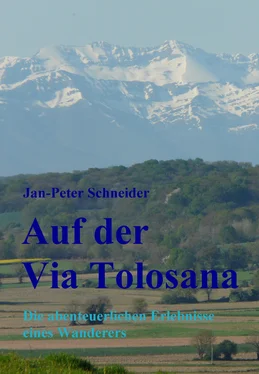 Jan-Peter Schneider Auf der Via Tolosana обложка книги