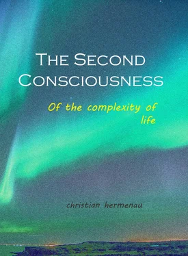 Christian Hermenau The Second Consciousness обложка книги