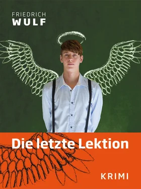 Friedrich Wulf Die letzte Lektion обложка книги