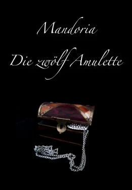 Maria Meyer Mandoria - Die zwölf Amulette обложка книги
