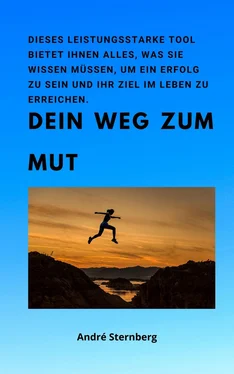 André Sternberg Dein Weg zum Mut обложка книги