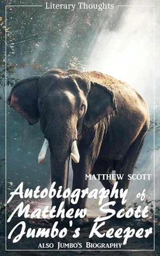 Matthew Scott Autobiography of Matthew Scott, Jumbo's Keeper; also Jumbo's Biography (Matthew Scott) - illustrated - (Literary Thoughts Edition) обложка книги
