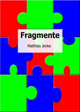 Matthias Jenke Fragmente обложка книги