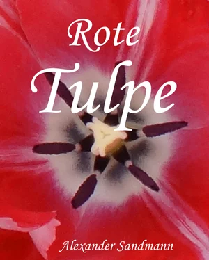 Alexander Sandmann Rote Tulpe обложка книги