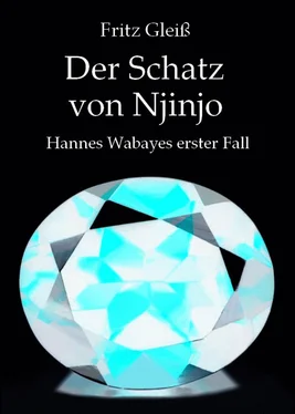 Fritz Gleiß Der Schatz von Njinjo обложка книги