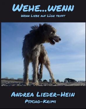 Andrea Lieder-Hein WEHE… WENN обложка книги